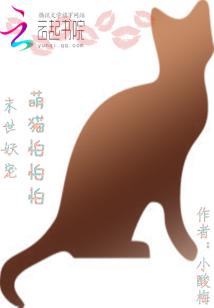 猫咪视频在线剧情介绍