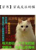 猎狐行动剧情介绍