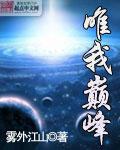 乡村教师杨羽全文阅读剧情介绍