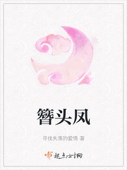 丰年经的继中文21剧情介绍