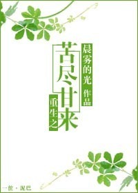 九州视频剧情介绍