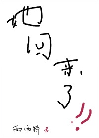 废都290页中性描写摘录剧情介绍