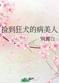 www.hanyingku.com剧情介绍