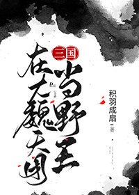 中泉英雄剧情介绍