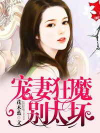 舰娘之魔改大师剧情介绍