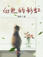 奥迪q4价格剧情介绍