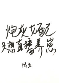 看84巴士剧情介绍