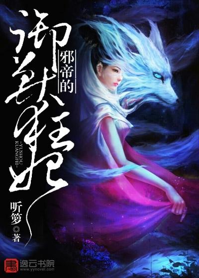 《将军在上》全集免费观看剧情介绍