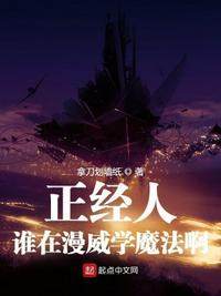 偷寇无罪剧情介绍