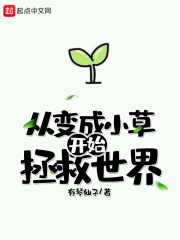 丁香花五月剧情介绍