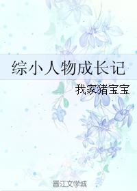 被窝里的公憩老张杨雪剧情介绍