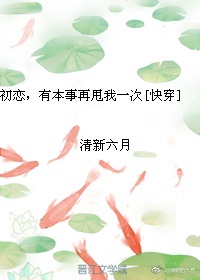 野战师剧情介绍