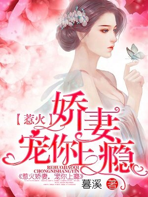 他似火 (军婚 高干 婚恋)全文免费阅读剧情介绍