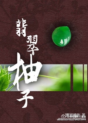 菊花PROJECT视频BGM剧情介绍