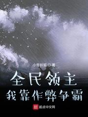 亲爱的律师大人 小说剧情介绍