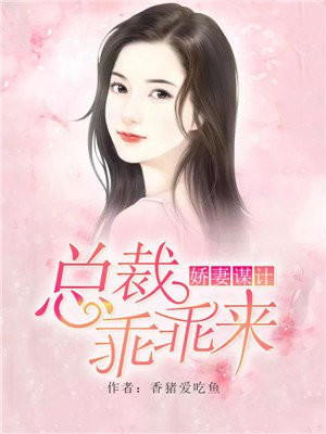 妻妾如云剧情介绍