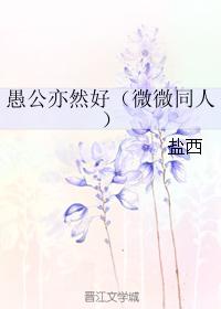 黄蓉落难记剧情介绍