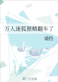 吾凰在上漫画有小说吗剧情介绍