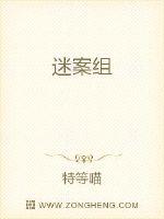 骑士影院2024剧情介绍