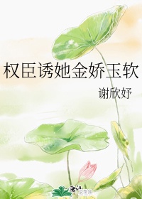 菊丸英二剧情介绍