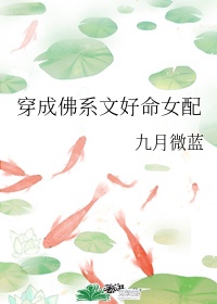 清穿之认命过日子剧情介绍