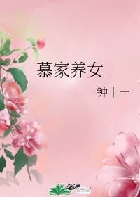 小宝探花在线剧情介绍