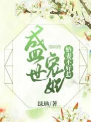 武破九霄 花颜剧情介绍