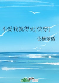 濑亚美莉在线观看剧情介绍