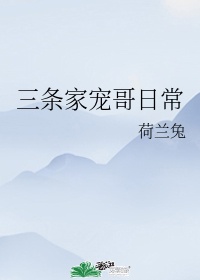 公证处电话剧情介绍