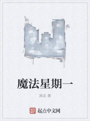 教师白洁剧情介绍