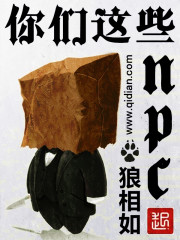 np肉剧情介绍