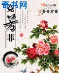 孙元剧情介绍