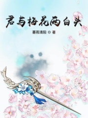 一树梨花压海棠未删减剧情介绍