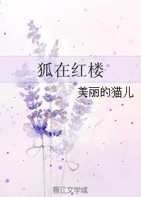 神奇宝贝之天空霸主剧情介绍