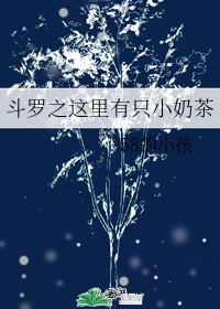 亚洲a视频在线剧情介绍