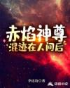 你灿若星辰剧情介绍