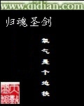 先锋5566剧情介绍