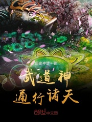 无极张柏芝剧情介绍