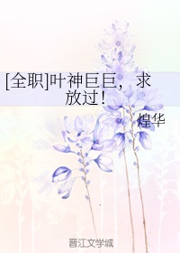 窦唯王菲剧情介绍