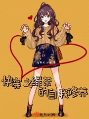 夫郎家的赘婿首辅剧情介绍