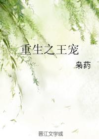 苍井优图片剧情介绍