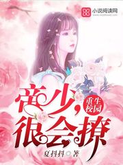 灵契漫画全集免费733剧情介绍