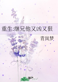 欧美18vivode剧情介绍