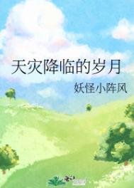 乡村痞医剧情介绍