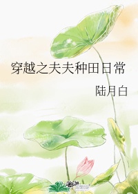 ibw248剧情介绍