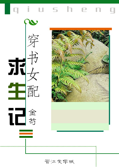 日本高清哔哩哔哩剧情介绍