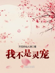 天津武爷的4名警花名字剧情介绍