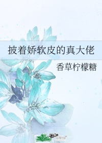 女律师的堕落在线剧情介绍