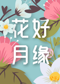 我在红楼当天师剧情介绍