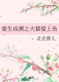 鲜肉老师免费观看剧情介绍